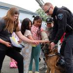Dee Anne Shaw photos / Aberdeen schools
Robert Gray Elementary School students meet a Hoquiam Police K-9 officer.