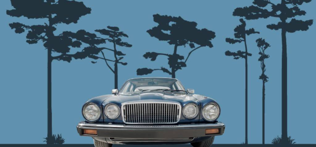 Fathers Day in Seabrook  a Vintage Cruise-In and BBQ