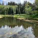 Mill Creek
Mill Creek