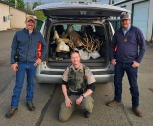 WDFW
Wildlife police officers from Montana and Grays Harbor pose with confiscated deer and grouse parts.