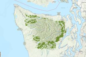 The Wilderness Society
Land on the Olympic Peninsula that could be up for sale if Congress includes proposal in President Trumps One Big Beautiful Bill Act.