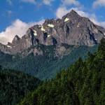 National Forest Service
Parts of the Olympic Peninsula could be up for sale.