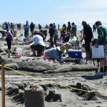 Ruth Arkless / For The Daily World
Sand sculptors scramble to finish their creations before the judging begins.