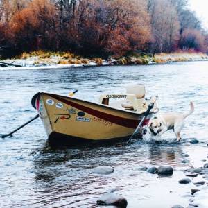 Photo by Julie Cyr / WDFW
A dog patiently waits to jump aboard the drift boat on the Yakima River.