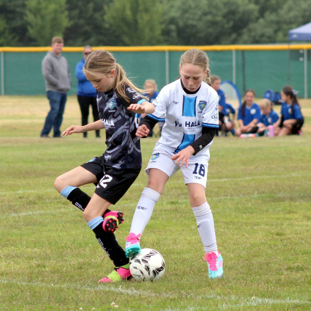 PHOTO BY LORI VALENTINE
Players from the Grays Harbor Gulls Blue (left) and Gulls Yellow teams compete in a Girls 11U game at the Coastal Cup on Saturday at the Bishop Athletic Complex in Aberdeen.