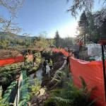 WSDOT
Fish passage work includes relocating aquatic life before working in the stream.