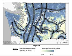 WDFW
A map showing key areas that the new report focuses on.