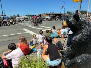 The 66th Annual McCleary Bear Festival