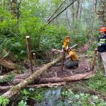 Recreation and Conservation Office photos
The Grays Harbor Conservation District will use a grant to place log structures in up to six miles of the West Fork Satsop River headwaters.