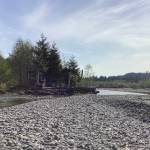 The Quinault Indian Nation will use a grant to complete designs and build 12 logjams in the Wilsons Slough reach of the upper Quinault River.