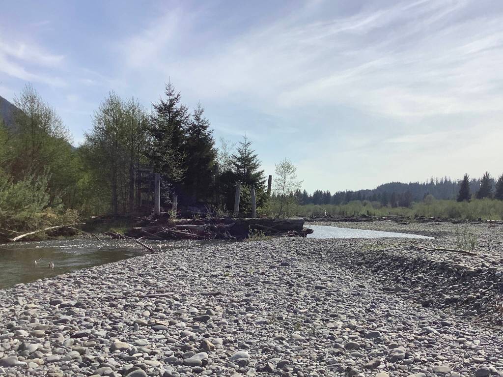 The Quinault Indian Nation will use a grant to complete designs and build 12 logjams in the Wilsons Slough reach of the upper Quinault River.