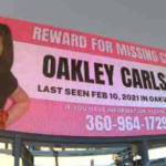 Light The Way Missing Persons Advocacy Project
A series of digital billboards have been placed across Washington state raising awareness for missing Oakley Carlson.