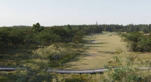 Westport Golf Links
An example of what the Westport Golf Links would look like if built out.