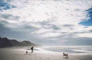 Seabrook
Grays Harbor is the ultimate dog county, with plenty of parks and beaches to let Fido roam. These dogs are enjoying the beach at Seabrook.