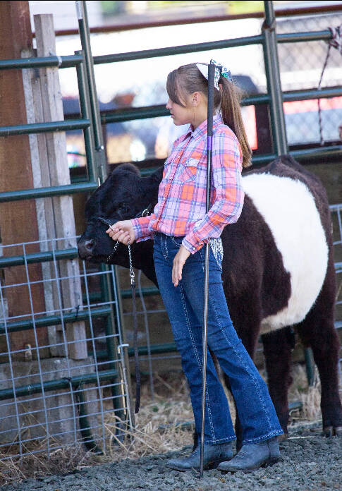 A youngster shows her livestock at a past Pacific County Fair.