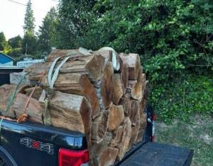 WDFW photos
A truck load of cedar was confiscated near Aberdeen by a Washington Department of Fish and Wildlife officer.