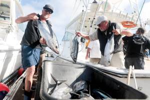 Luke Whittaker / Chinook Observer
raig Brewer, left, and crew of the Shake N Bake unload tuna after a successful trip on July 22.