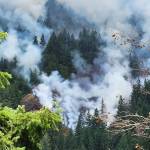 U.S. Forest Service
A view of the Bear Gulch wildfire on July 21. It started in early July and is still burning.