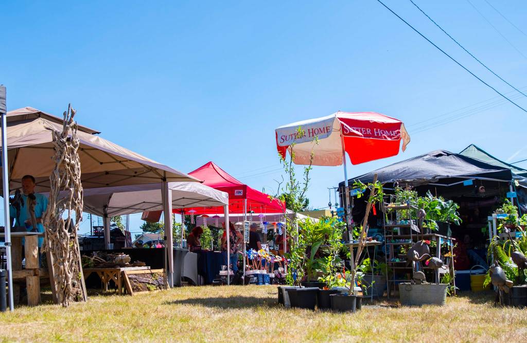 Vendor stands at Tokeland Woodfest.