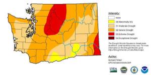 U.S. Drought Monitor graphic
Drought covers 95% of Washington, according to the U.S. Drought Monitor. The National Weather Service issued a La Niña watch Aug. 14, raising hopes next winter will provide drought relief.