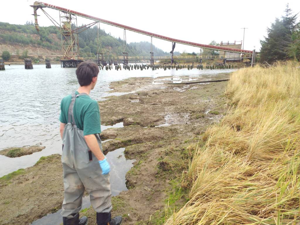 The sites that Miles Heisel visited to collect data include the heavily impacted Historic Seaport.