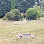 With the Wynooche Cemetery records now available online, family members and researchers can visit the cemetery virtually. The online database includes photos of the headstones and birth, death and interment dates.