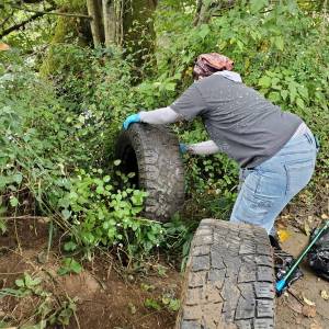 Andrea Watts / The Daily World
At a trash pickup event held on Sunday, Sept. 7 at the Double Bridges Satsop Boat launch, what were two visible tires in the underbrush alongside the trail revealed four more tires further down the bank.