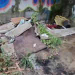 Breana Downs / Grays Harbor Conservation District
The trash picked up at the Double Bridges Satsop Boat launch include discarded tires and carpet, cigarette butts, soda bottles, and miscellaneous trash.