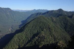 Sportsmen for the Wild Olympics
The steep forested slopes of the Moonlight Dome Roadless Area forms the critical headwaters for both the East and West Forks of the Humptulips River (seen on the left), one of the top ten trophy fishing rivers in Washington state, located about seven miles east of Lake Quinault.