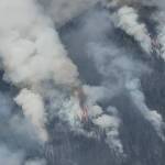 National Forest Service
Fire continues to creep upland in the steep terrain north of Lake Cushman.