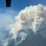 National Forest Service
Smoke billows at the Bear Gulch Fire as photographed via a plane.