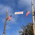 Saginaw Day Logging Show