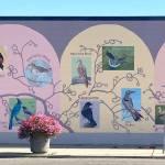 The Daily World file photo
The Backyard Birds mural in Hoquiam that was painted by Jenny Fisher.