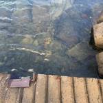 White Bridge boat ramp