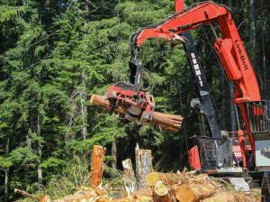 Washington State Department of Natural Resources
A harvester crane processes a log on a thinning project in the Mount Baker-Snoqualmie National Forest. The project was led by the Washington State Department of Natural Resources, the result of growing efforts by state agencies to conduct work on federal land. President Donald Trumps plans to increase logging on federal lands will depend heavily on states cooperation, experts say.