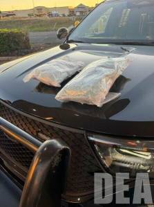 DEA photos
Carfentanil is a synthetic opioid estimated to be 100 times stronger than fentanyl. On Tuesday, Sept. 16, over 50,000 pills containing the substance were seized at a Centralia gas station. The seizure was part of a months-long investigation conducted by the Drug Enforcement Administration (DEA), Alcohol Tobacco and Firearms (ATF), Federal Way Police and Centralia Police, according to a release from the DEA, which summarized the recent sequence of events.