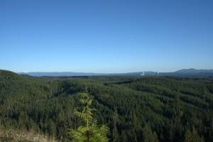 Daniel Wear / Sustainable Northwest
And no tour of the Montesano City Forest is complete without a stop at the overlook that offers expansive views of the Chehalis Basin and beyond.