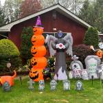 Karen Barkstrom / The Daily World