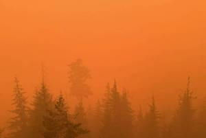 U.S. Forest Service
Heavy smoke from the Bear Gulch Fire fills the sky Wednesday.