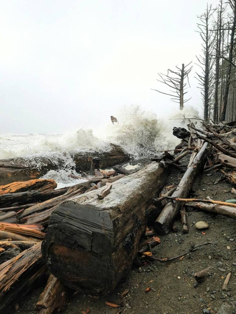 Michelle Anderson
Rialto Beach joined in the tempest that hit the Washington coast the past several days.