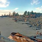 Jackson Blalock
Nature-based approaches  known as dynamic revetment  by the Pacific Conservation District and other stakeholders to control erosion on Willapa Bays north shore received a shot in the arm last year when it won a $12.7 million NOAA grant to install a large-scale and long-term erosion reduction and beach restoration project. An experimental prototype installed earlier this decade has helped combat erosion across 1.5 miles of shore.