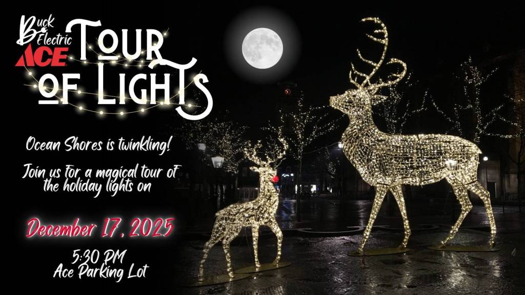 Ace Tour of Lights in Ocean Shores