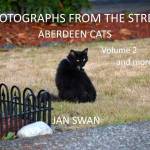 Photographs from the Street  Aberdeen Cats by Jan Swan