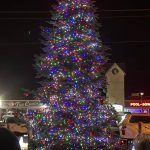 Jerry Knaak photos / The Daily World
The Ocean Shores Christmas tree in all its lighted glory.
