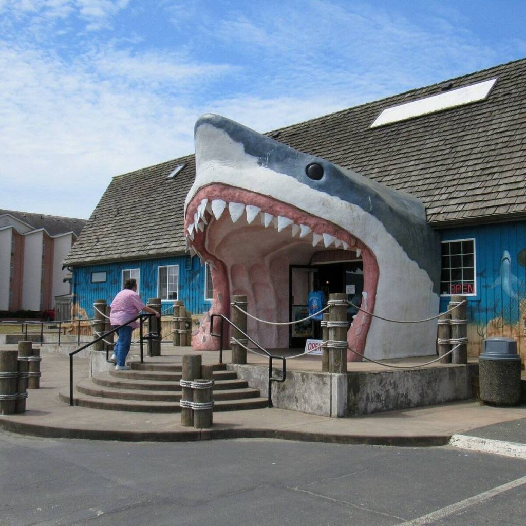 Sharkys