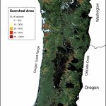 Global Change Biology
The 2021 Heat Dome resulted in trees exhibiting scorched leaves throughout the Pacific Northwest. A combination of factors, such as aspect, microclimate, tree species, and timing of bud burst, determined the degree to which trees were scorched.