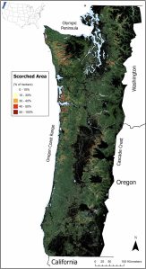 Global Change Biology
The 2021 Heat Dome resulted in trees exhibiting scorched leaves throughout the Pacific Northwest. A combination of factors, such as aspect, microclimate, tree species, and timing of bud burst, determined the degree to which trees were scorched.
