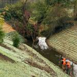 Planting after barrier culvert replacement downstream on Van Ornum Creek at Bunker Creek Road Fish. Project sponsored by Lewis County public Works.