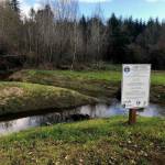 Fish passage barrier correction and side channe creation on Camp Creek in Grays Harbor County. Project sponsored by Chehalis Basin Fisheries task Force.