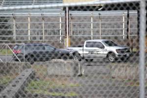 Jeff Clemens / Chinook Observer
Officers from the Raymond and South Bend Police Departments along with the Pacific County Sheriffs Office searched in the area of Wilson Avenue in Raymond on Dec. 28 for suspects allegedly involved in a hit-and-run who fled on foot.